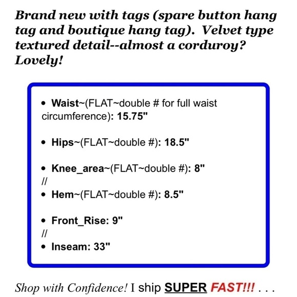 NWT Spanner Womens Sz 6 Brown Velvet Corduroy Pants NEW - Picture 2 of 9